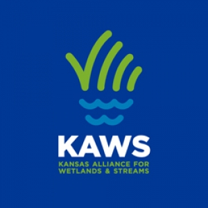 The Kaws logo 