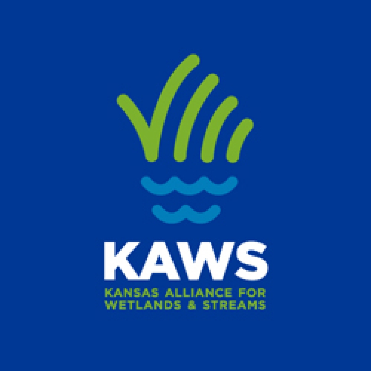 The Kaws logo 