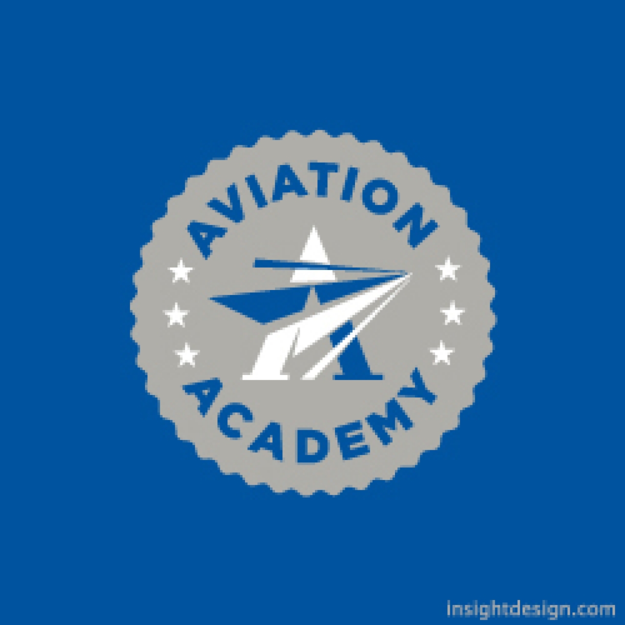 Aviation Academy Logo Design