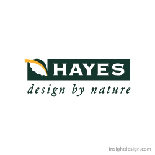 Hayes Company logo design
