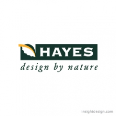 Hayes Company logo design