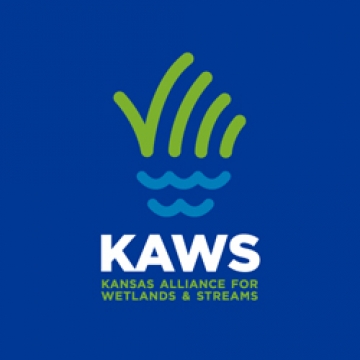Kaws logo design